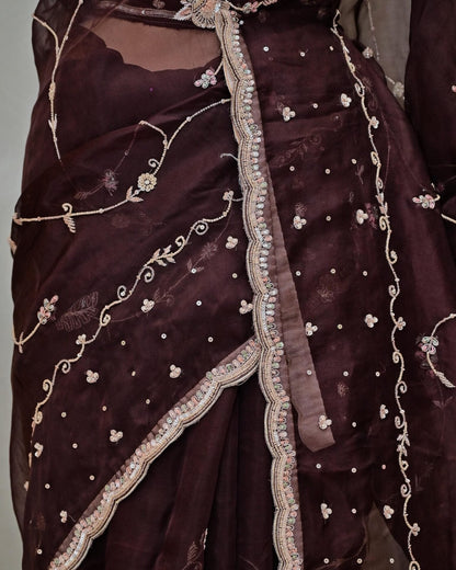 Brown Organza Jaal Saree image 3