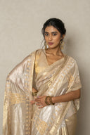 Banarasi Tissue Saree With Zardozi Tribal Motifs