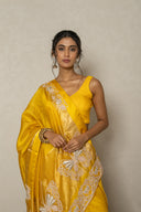 Mustard Yellow Banarasi Kora Saree With Butterfly Embroidery