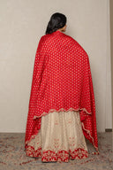 Gold Tissue Zardozi Set with Red Banarasi bandhej Dupatta