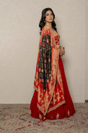 Red Crushed Georgette Skirt Set with Kanjivaram Patola Dupatta