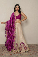 Tissue Lehenga with magenta palki patch