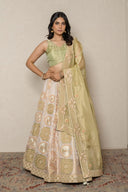 PIsta green Tissue Ghagra Set with Hand Aari & Zardozi Work
