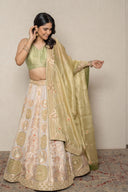 PIsta green Tissue Ghagra Set with Hand Aari & Zardozi Work