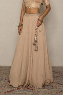 Champagne Beige crushed tissue Lehenga Set with lucknowi dupatta