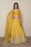 Lemon Green Tissue Ghaghra Set with Pitta Hand Zardozi Work