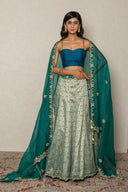 Green Banarasi Ghagra with Hand Zardozi Work