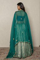 Green Banarasi Ghagra with Hand Zardozi Work