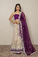 Striped Banarasi Tissue Ghaghra with Contrast Purple Dupatta