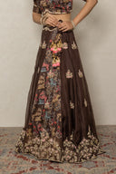 Chocolate Brown Organza Ensemble with Banarasi Pichhwai print blouse
