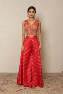 Red Embroidered Crop Top & sharara Set