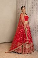 Red Silk Aari Tari Lehenga Set