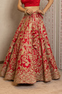 Red Silk Peacock Aari tari lehenga Set