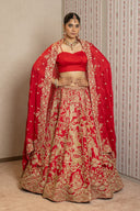 Red Silk Peacock Aari tari lehenga Set