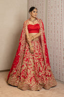 Red Silk Peacock Aari tari lehenga Set