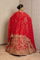 Red Silk Peacock Aari tari lehenga Set