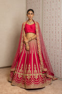 Pink Ari Tari Work Lehenga Set